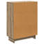 Standard Accent Chest-1200824999