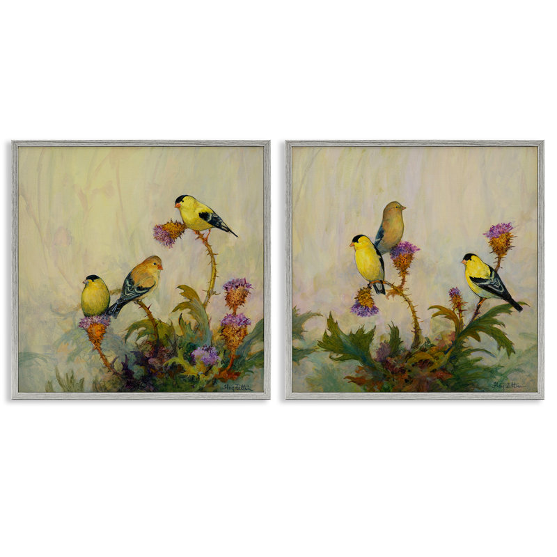 Chardonneret américain, ensemble de 2 giclées perchées, design par Floy Zittin, H 12 po x l 12 po, Gris