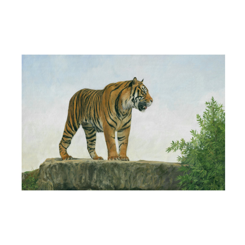 «David Stribble Tiger», art sur toile 11, H 12 po x l 19 po