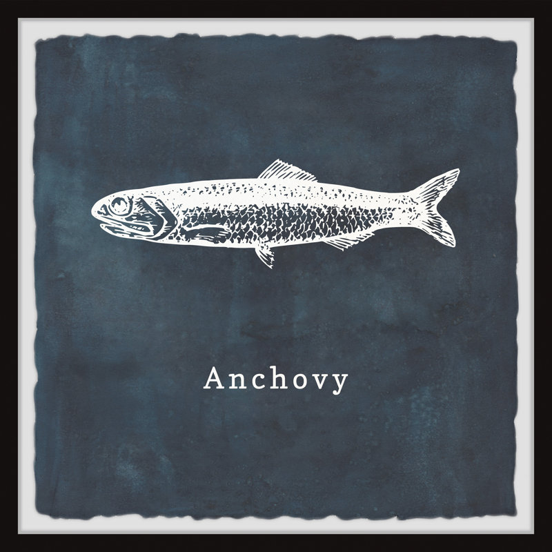 Anchovy - Single Picture Frame Print, 30cm H x 30cm W x 3.81cm D