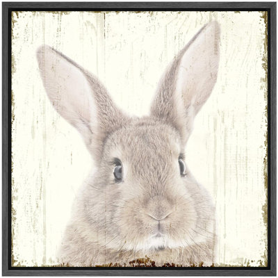 " Nursery Baby Bunny "
