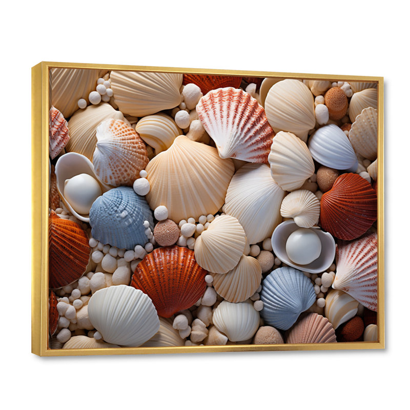 «Beach Photo Seashell Symphony III», reproduction d'art sur toile, Or, H 12 po x l 20 po x P 1 po