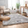 Mcclain Silver/Grey Shag Soft Area Rug