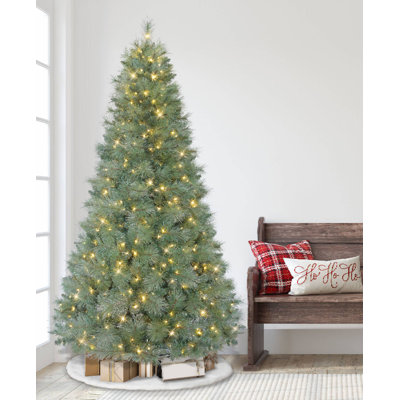 Sapin de 7,5 pi pré-éclairé Windham, 1099 branches, 500 lumières DEL blanc chaud