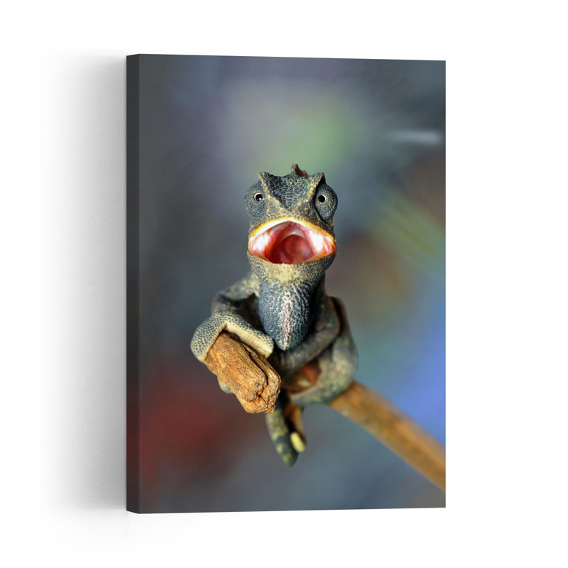 Surprised Chameleon Yawn Lizard Architecture Tropical Wall Art Print by Mustafa Ozturk - Print, 60.96cm H x 40.64cm W