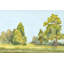 Bright Forest V Painting by Giselle Kelly-65351947