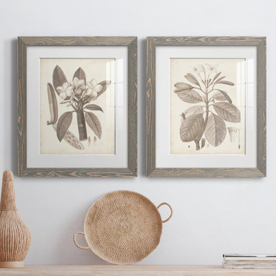 Antique sépia botanicals vii - ensemble de 2 reproductions d'art sur papier encadré
