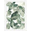 Watercolor Foliage 6 Print by Nathan Turner