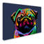 Carlin dog, impression sur toile tendue-18235393