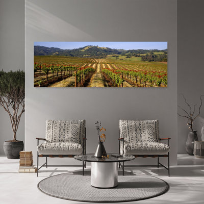 Vineyard, Geyserville, Californie, États-Unis, paix, paysage contemporain abstrait, art mural