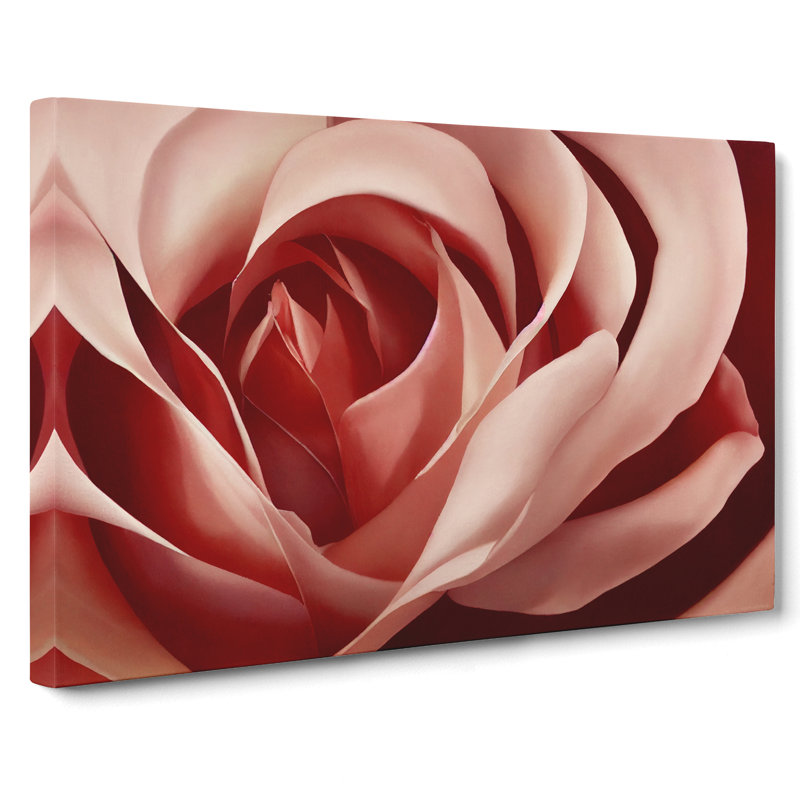 Unforgettable Rose Flower - Wrapped Canvas, 50cm H x 76cm W x 3cm D