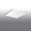 Flush Mount