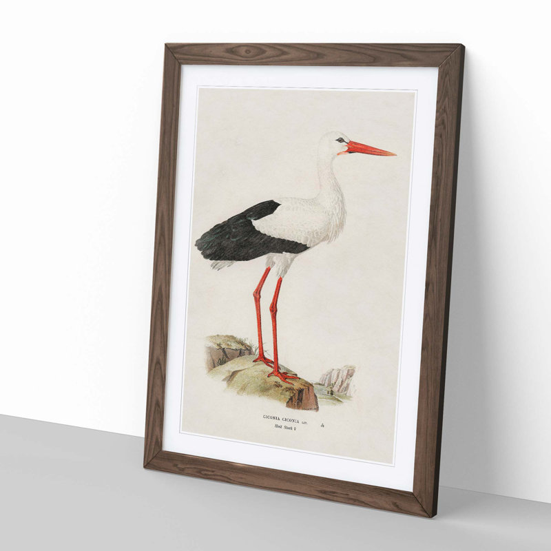 White Stark by Von Wright - Framed Print, 91cm H x 60cm W x 2cm D, Walnut