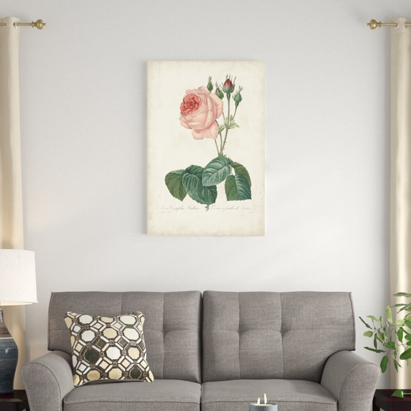 Roses rétro Redoute I, H 36 po x l 24 po