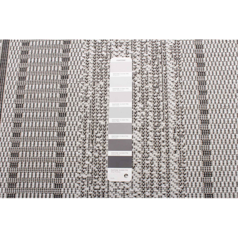 Bralynn Indoor/ Outdoor Gray Rug, Rectangle 3'3" x 4'7"