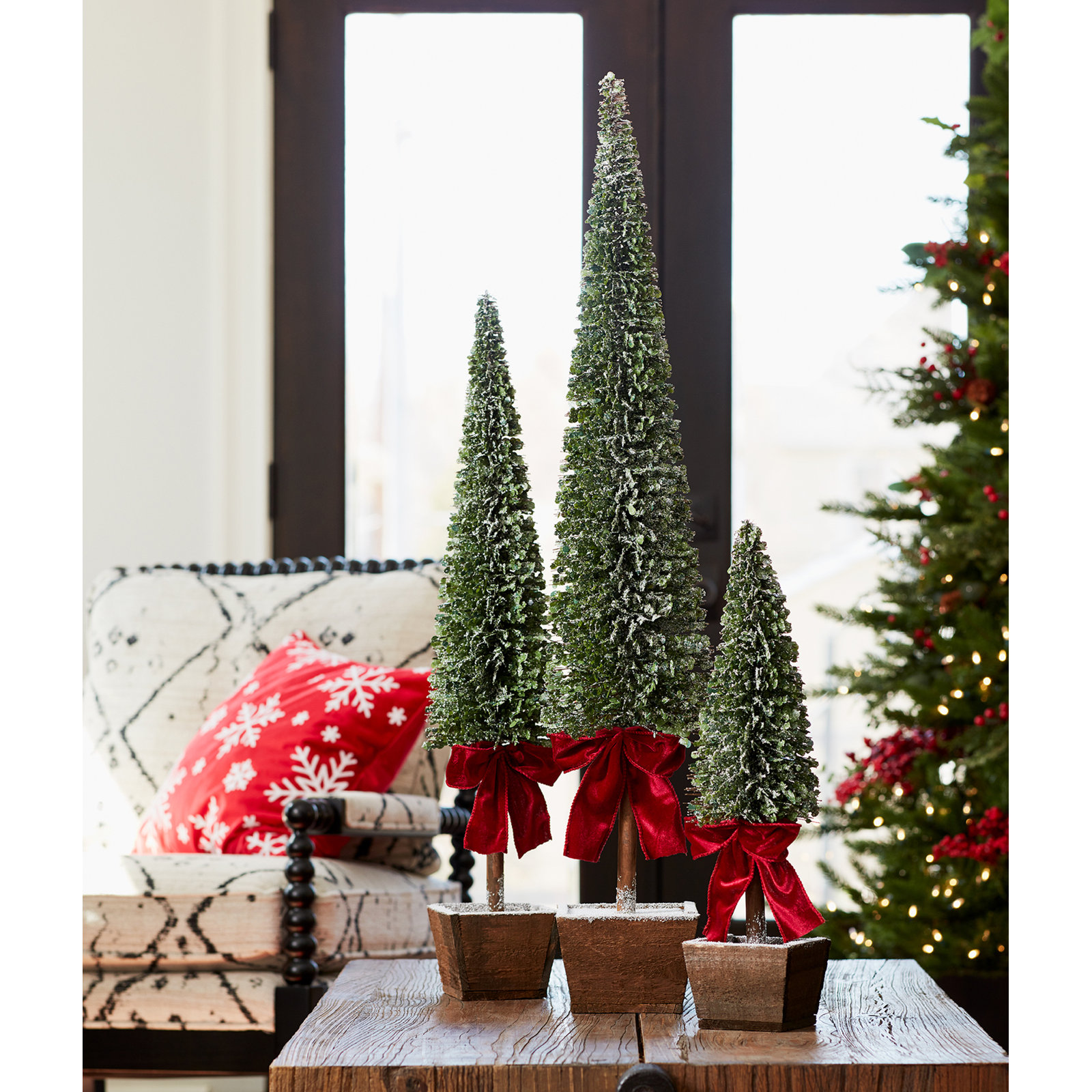 3-Piece Potted Tabletop Tree Set