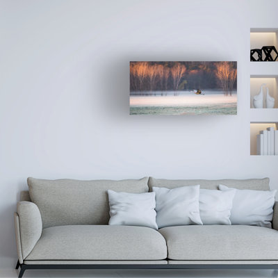 Bolog Jane Luo Lonely Flyer Canvas Art