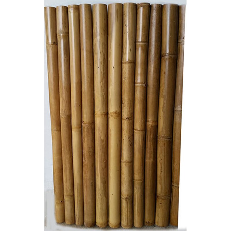 MGP Tan Bamboo/Reed Fencing & Reviews | Wayfair