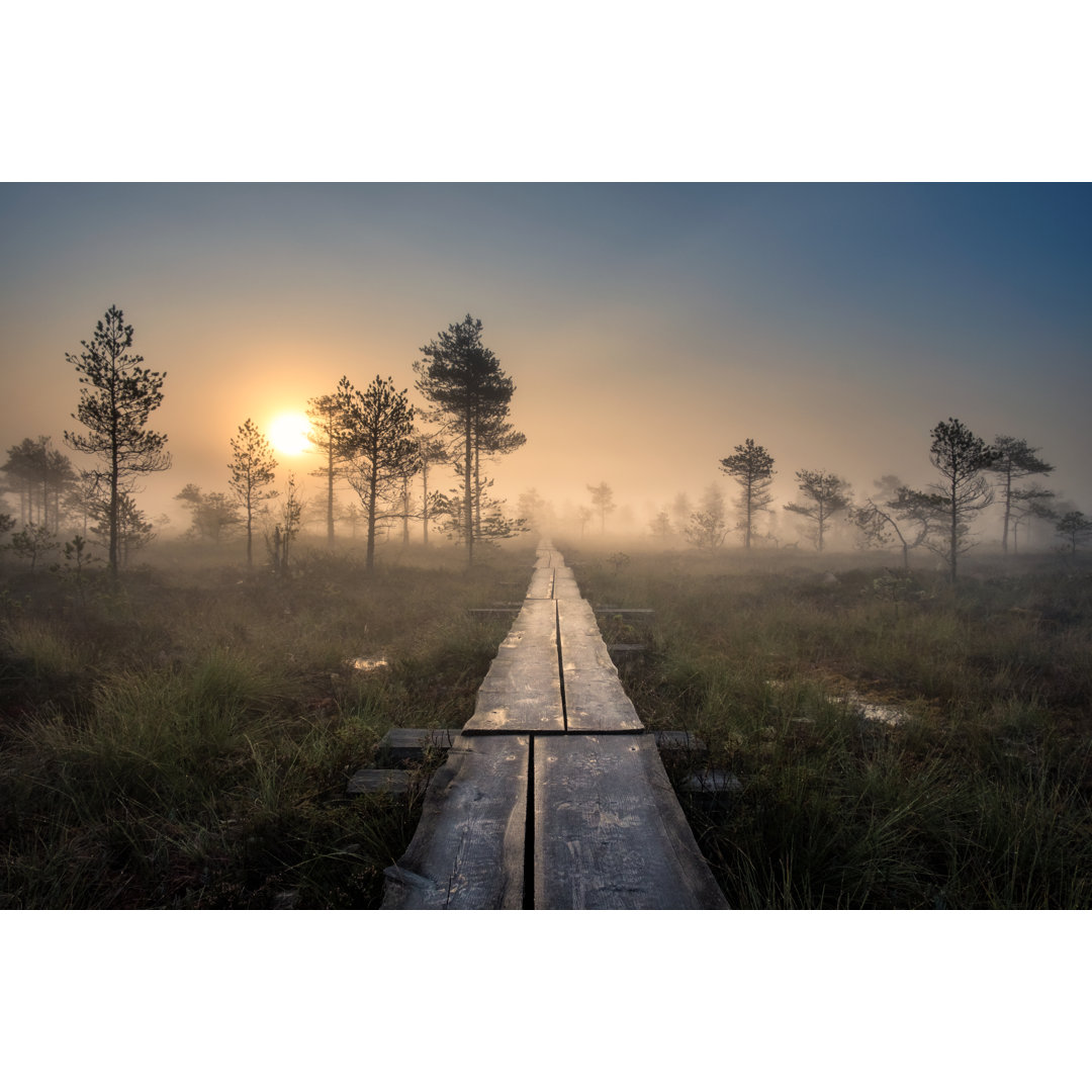 Leinwandbild Swamp in Autumn