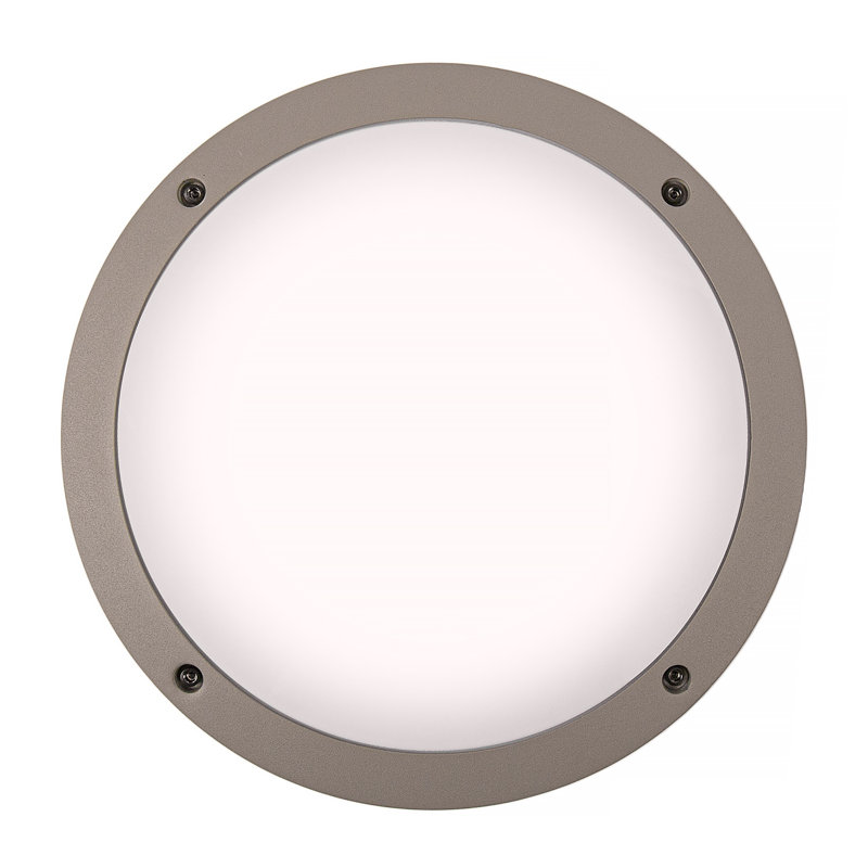 Witteride 30cm H Outdoor Ceiling Light, Silver