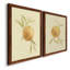 «Dappled Oranges I», toile encadrée de qualité supérieure - prête à être accrochée-1028214746-1028214745