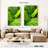 Harnek Striped Green Leaves-108255941