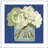" White Hydrangeas II " by Emma Scarvey-1165257515-1138655982
