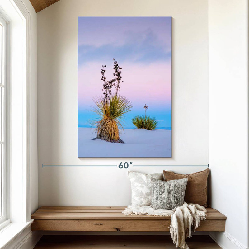 Yucca Soaptree, H 51 po x l 34 po