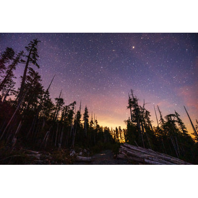 Vancouver Island Stars 1 Piece Wrapped Canvas Wall Art