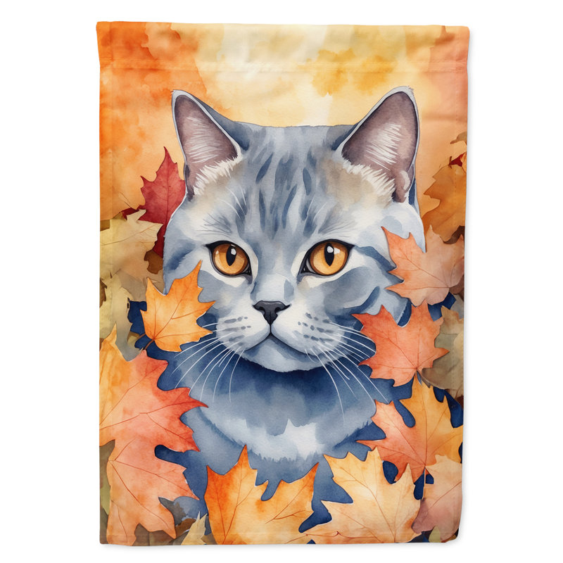 Chat en feuilles d'automne, British Shorthair
