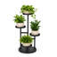 Support pour plante à 4 niveaux en métal, tablette d'angle intérieure et extérieure pour plusieurs plantes, patio, balcon et salon