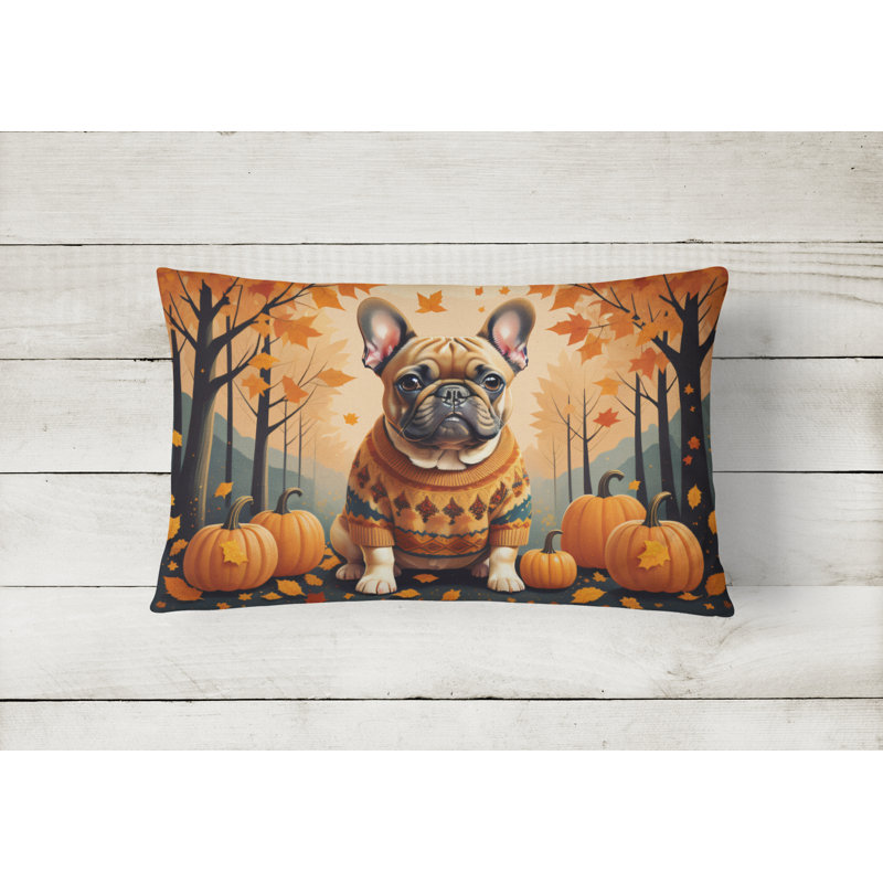 Other/No Pattern Outdoor Throw Pillow