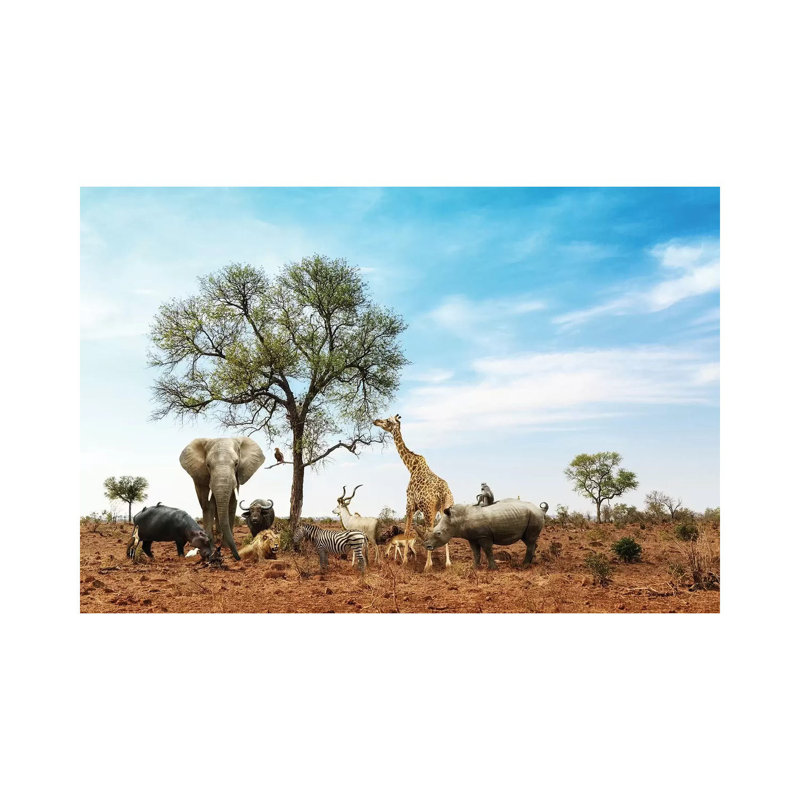 African Safari Animals Meeting Together Around Tree II 1 Piece Wall Art on Canvas, 20.32cm H x 30.48cm W x 1.91cm D