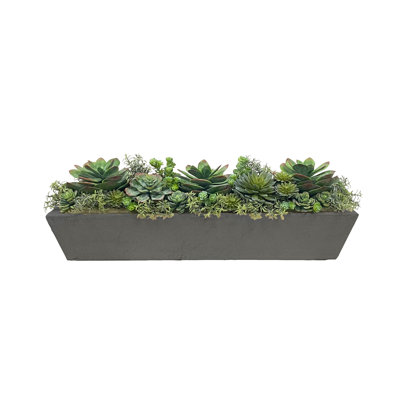 Succulents Mix In Long Pot