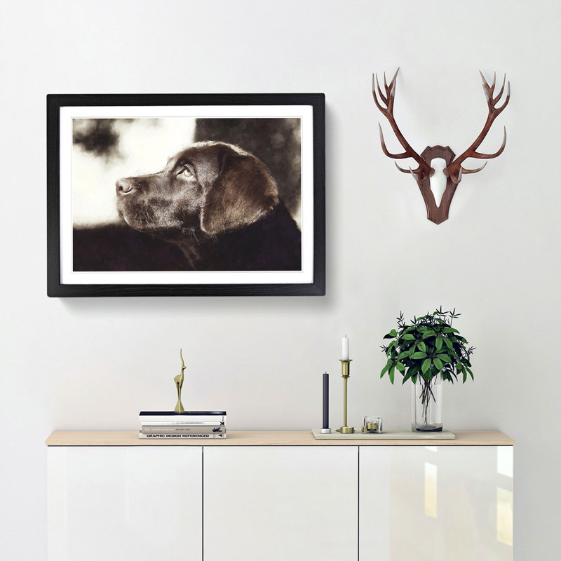 Chocolate Labrador Portrait - Framed Print, Black Framed, 33cm H x 45cm W x 2cm D