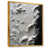 Gold Floater Framed