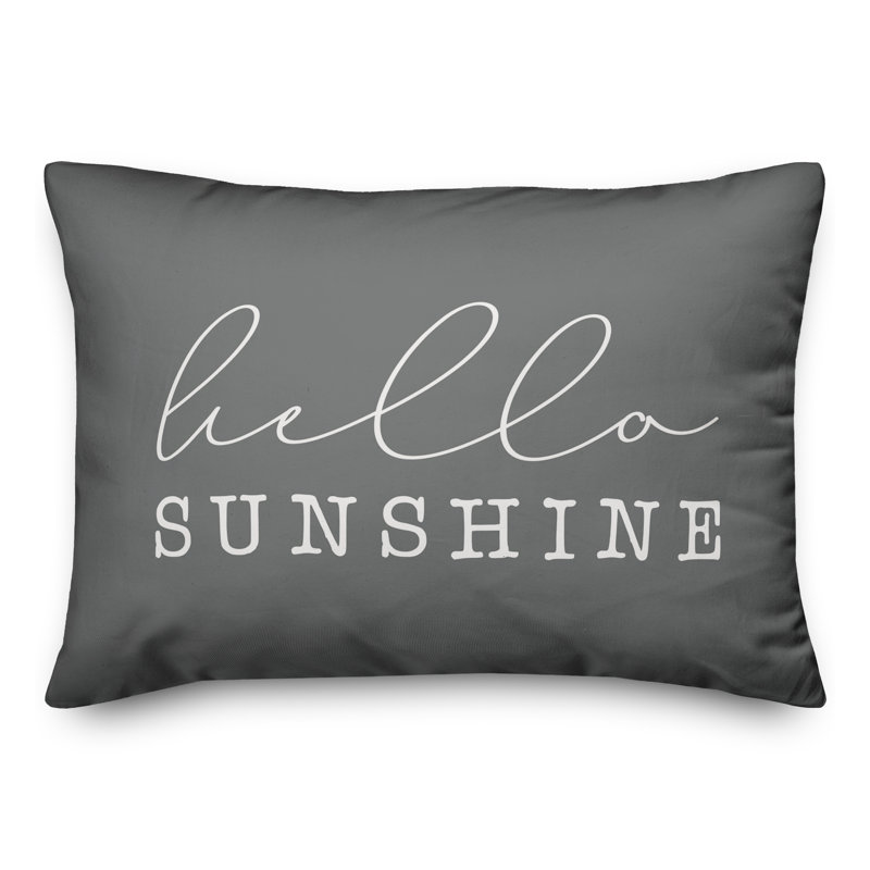 Housse et insert de coussin d'extérieur Hello Sunshine, Gris foncé / Blanc