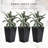 Tall Planters Of 3, Drainage Flower Pots, Black For Deck, Protected, 14.32" L X W 24" H Glass Pots With Hole,