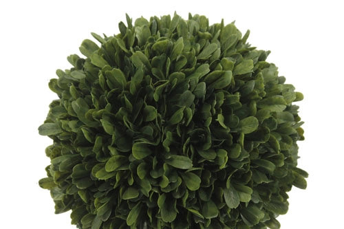12" Artificial Boxwood Plant in Round Pot, 12 in x 8 in