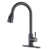 Black Stainless