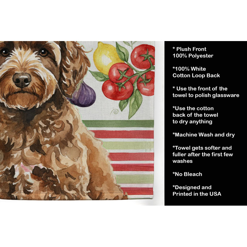 Torchon espagnol, Spanish Water Dog
