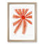 Starfish by Albert I - Framed Print-55615804-55615806