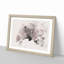 Portrait of an Elephant - Framed Print-56892029-56892034