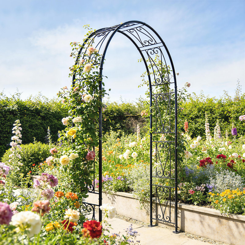 155cm W x 40cm D Metal Arbour in Black