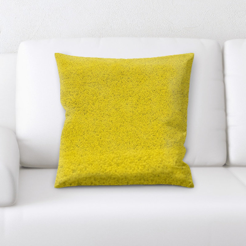Coussin décoratif