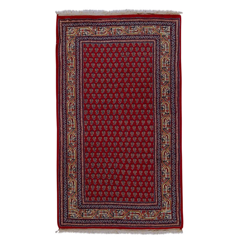 Handmade Cotton Oriental Area Rug