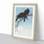 Two Crows by Ohara Koson - Framed Print-55614655-55614659
