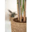 Ardell Handmade Planter-1197584849