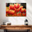 Tulipes hybrides Harnek Darwin-107687955