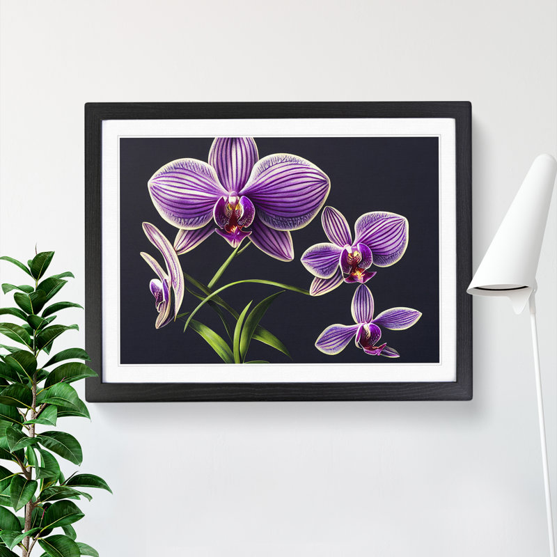 Dreamlike Orchid Flowers - Single Picture Frame Print, Black, 46cm H x 64cm W